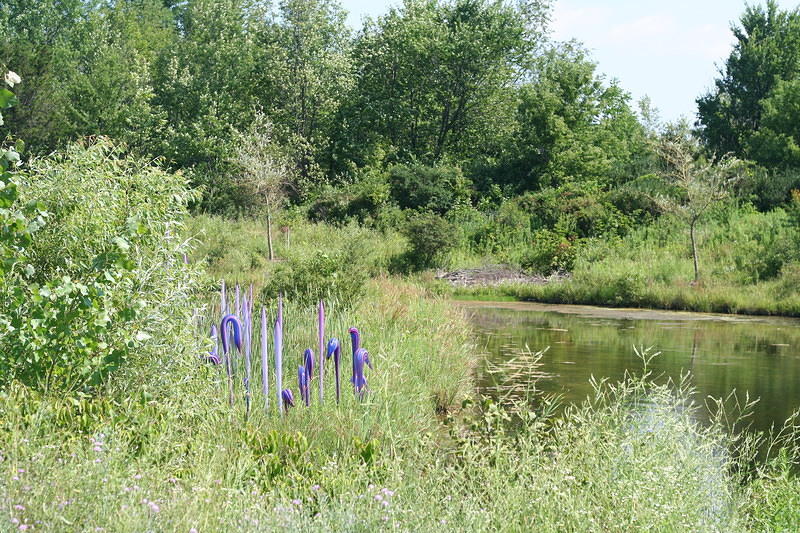 Chihuly Cranes